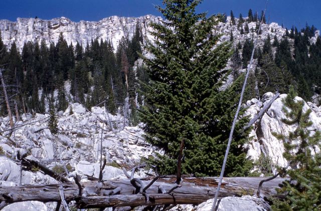 Terrace Mountain as seen from the Hoodoos - Geology Picture