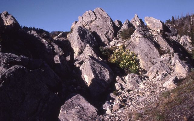 The Hoodoos - Geology Picture