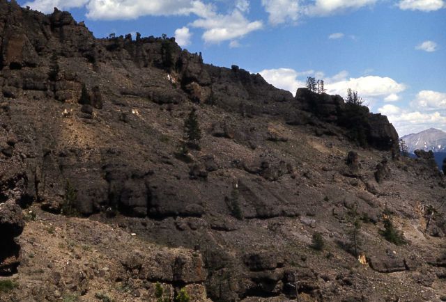 Gallatin Petrified Forest showing many layers of trees Picture