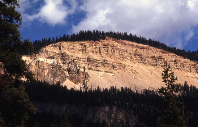 Absaroka volcanics cliff at the Northeast entrance Picture