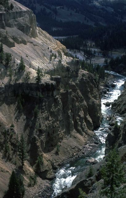 Basalt columns in the Tower Falls area Picture