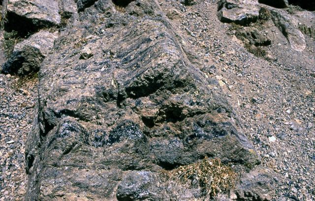 Obsidian in the ground Picture