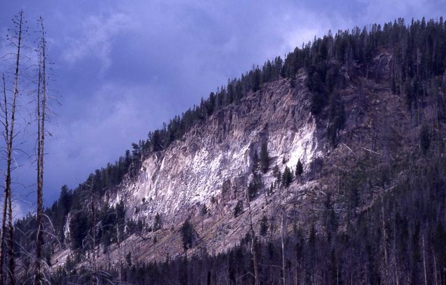 Tuff Cliff - Volcanics Picture