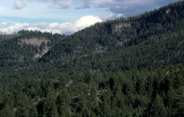 Lava Creek Tuff Picture