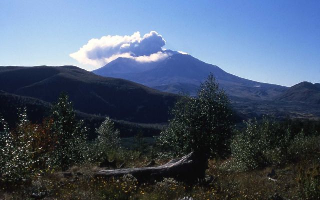 Second steam & ash explosion of Mt St Helens Picture