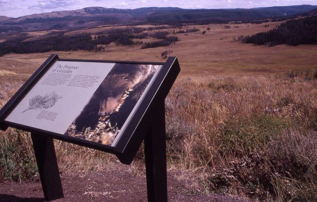 The Presence of Grizzlies wayside exhibit at Antelope Creek Picture