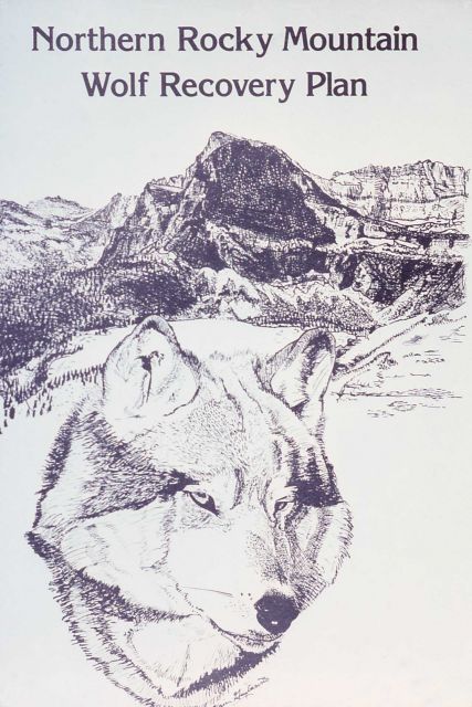 Cover of Northern Rocky Mountain Wolf Recovery Plan Picture