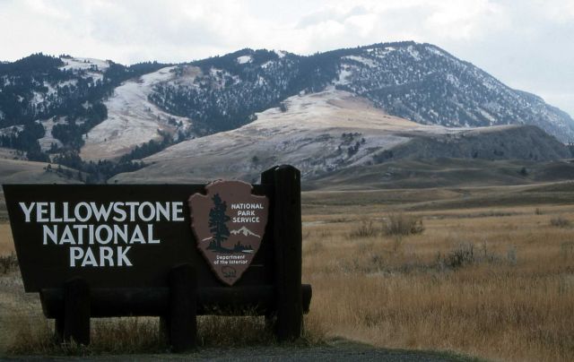 Yellowstone National Park sign at the North Entrance Picture