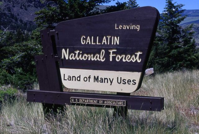 Gallatin National Forest 