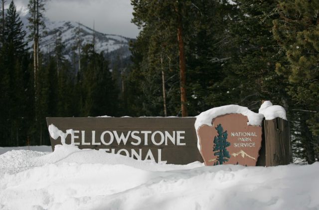 Yellowstone National Park at northeast entrance Picture