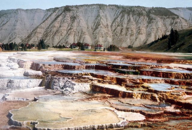 Hymen Terrace, Mammoth Hot Springs, with Fort Yellowstone in the background Picture