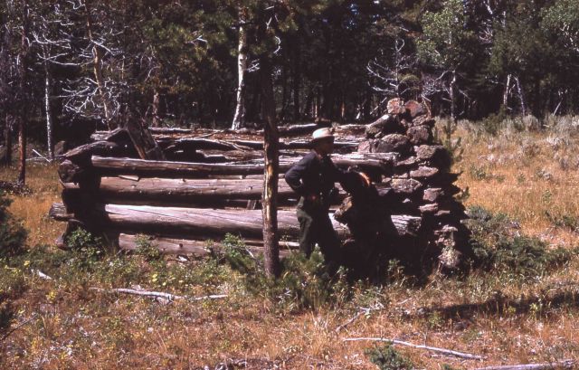 Cabin (poacher's?) near Mt Everts Picture