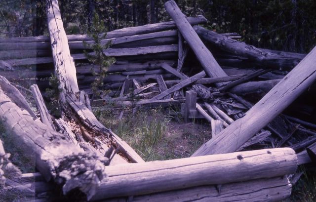 Fallen log cabin at Bridge Bay Picture