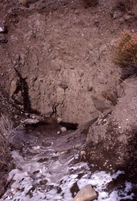 McMinn Bench - coal mined by Silas McMinn between Gardner River & Mt Everts as early as 1883 - outer excavation Picture