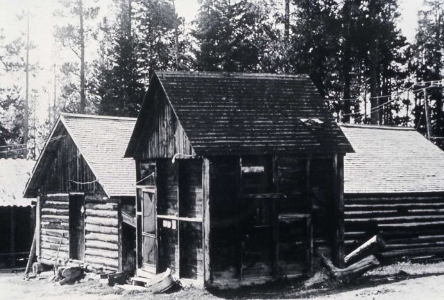 Yellowstone Park transportation Company buildings at Upper Geyser Basin Picture