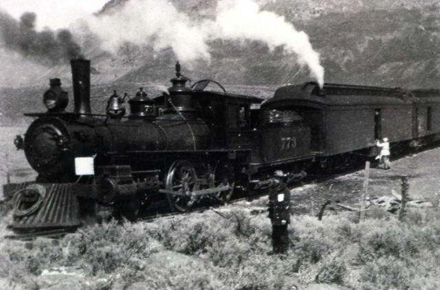 Train at Gardiner Picture