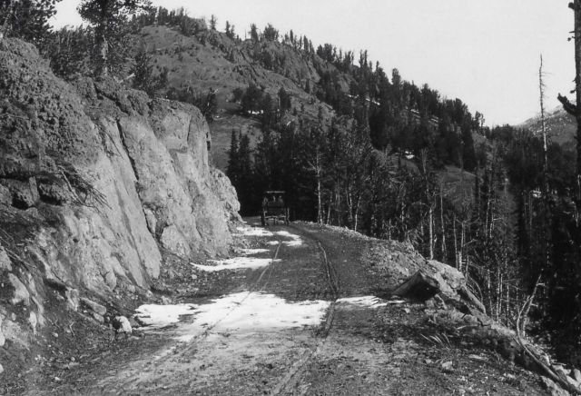 Horsedrawn buggy on Dunraven Pass Picture