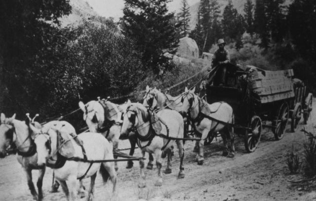Six horse team pulling a supply wagon Picture