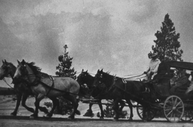Passenger coach & four horses Picture