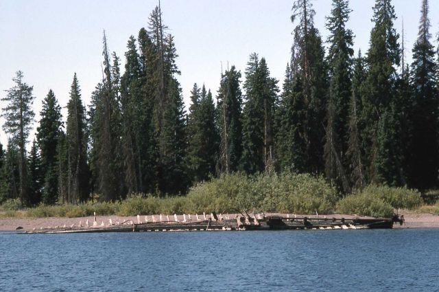 EC Waters shipwreck on Stevenson Island Picture