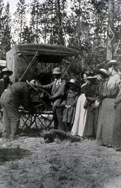 Tourists repairing buggy Picture