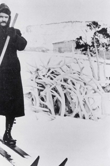 Man on skis near pile of antlers at Mammoth Picture