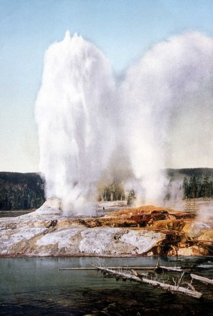 Giant Geyser Picture