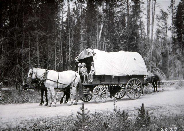 Horse & covered wagon Picture