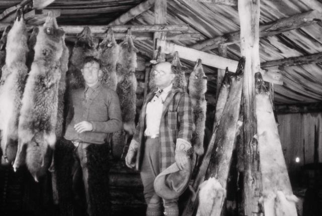 Ranger Ted Ogsten & Chief Ranger Sam Woodring with coyote pelts - YELL 42871 Picture