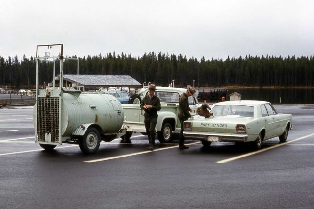 Yellowstone National Park Rangers with bear trap Picture