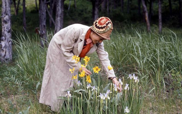 Susan Sindt, dressed as an early tourist, doing a Voices in Yellowstone (living history) program Picture