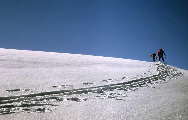 Winter ski patrol in the Thorofare Picture