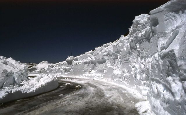 Beartooth Highway after snowplow has been through Picture