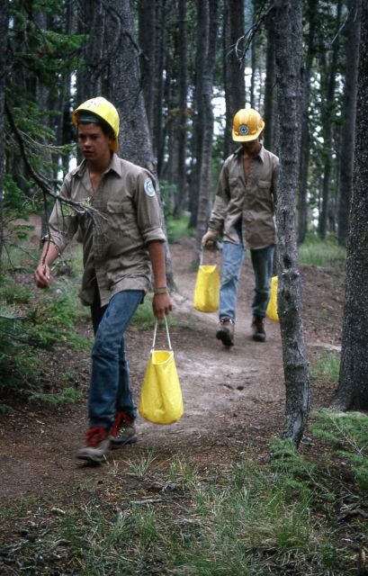 Youth Conservation Corp workers working to rehab & revegetate a backcountry campsite on Shoshone Lake Picture