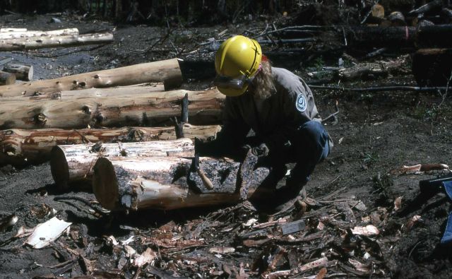 Youth Conservation Corp worker making bumper logs (debarking) Picture