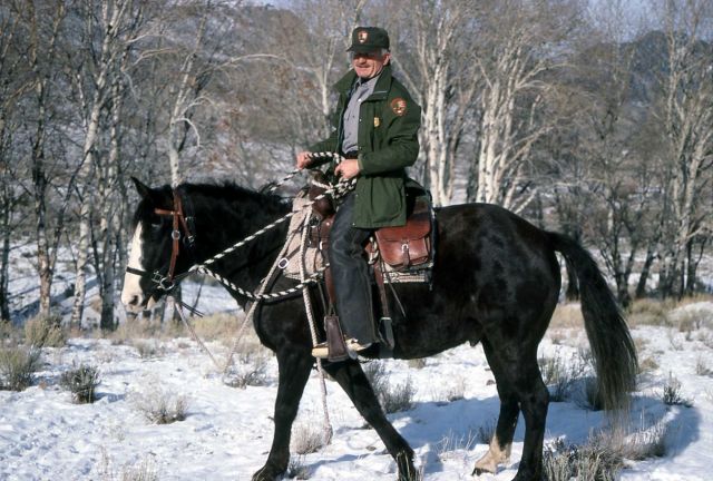 Chief Ranger Dan Sholly on a horse in the winter Picture