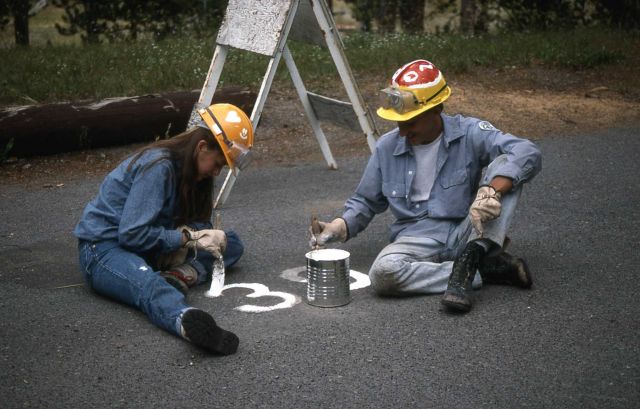 Youth Conservation Corp workers painting parking numers in campground Picture