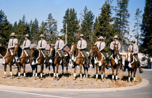 Ranger patrol on horses for President Ford's visit at Old Faithful Picture