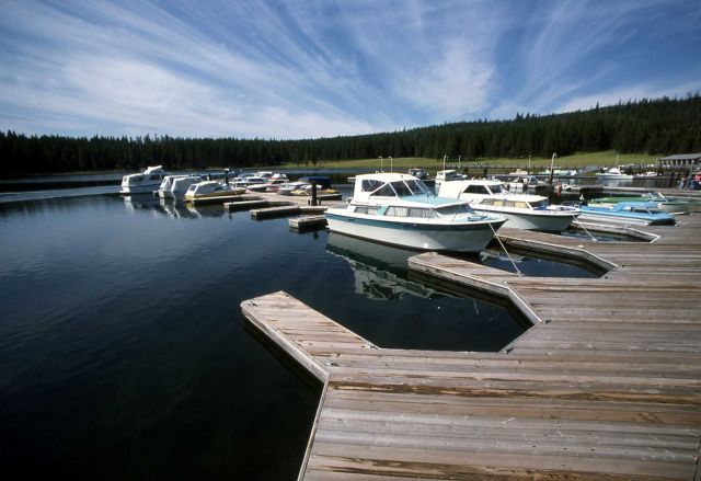 Bridge Bay Marina Picture