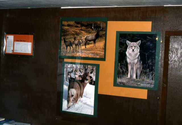 Exhibits in the Canyon warming hut Picture