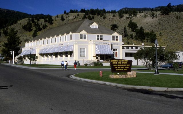 Mammoth Hot Springs restaurant Picture