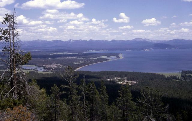 Fishing Bridge area as seen from Elephant Back Picture