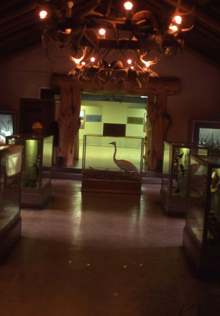 Fishing Bridge visitor center interior Picture