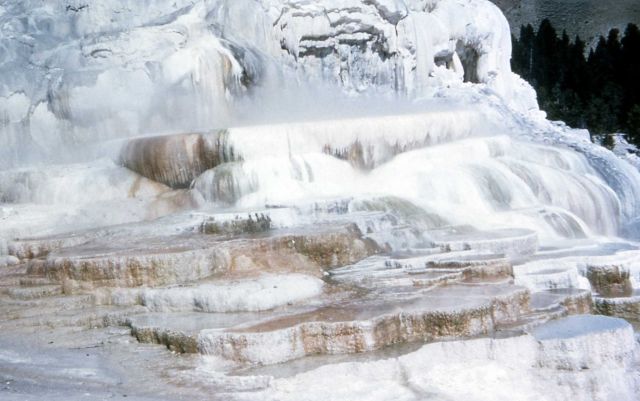 Mammoth Hot Springs Picture