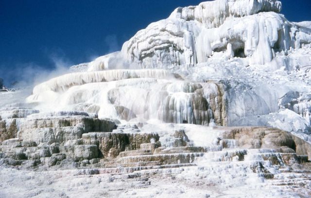 Mammoth Hot Springs Picture