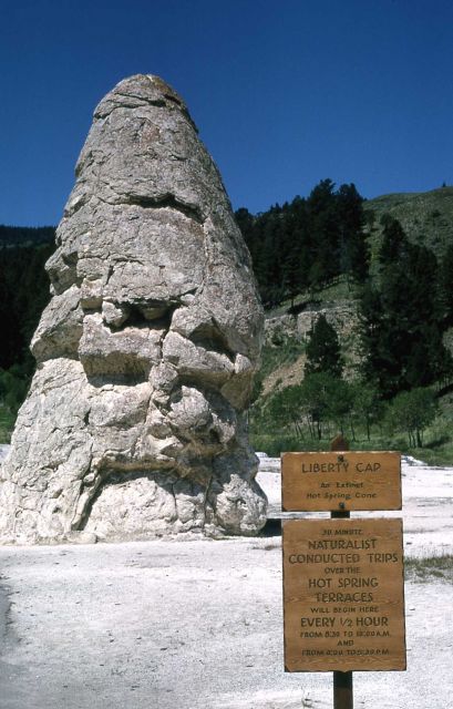 Liberty Cap Picture