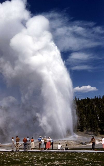 Giant geyser Picture