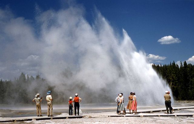 Daisy Geyser Picture