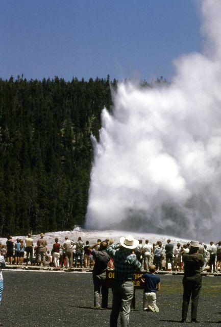Old Faithful Geyser Picture