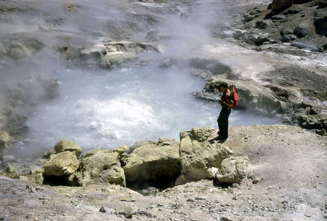 Sylvan Springs Picture